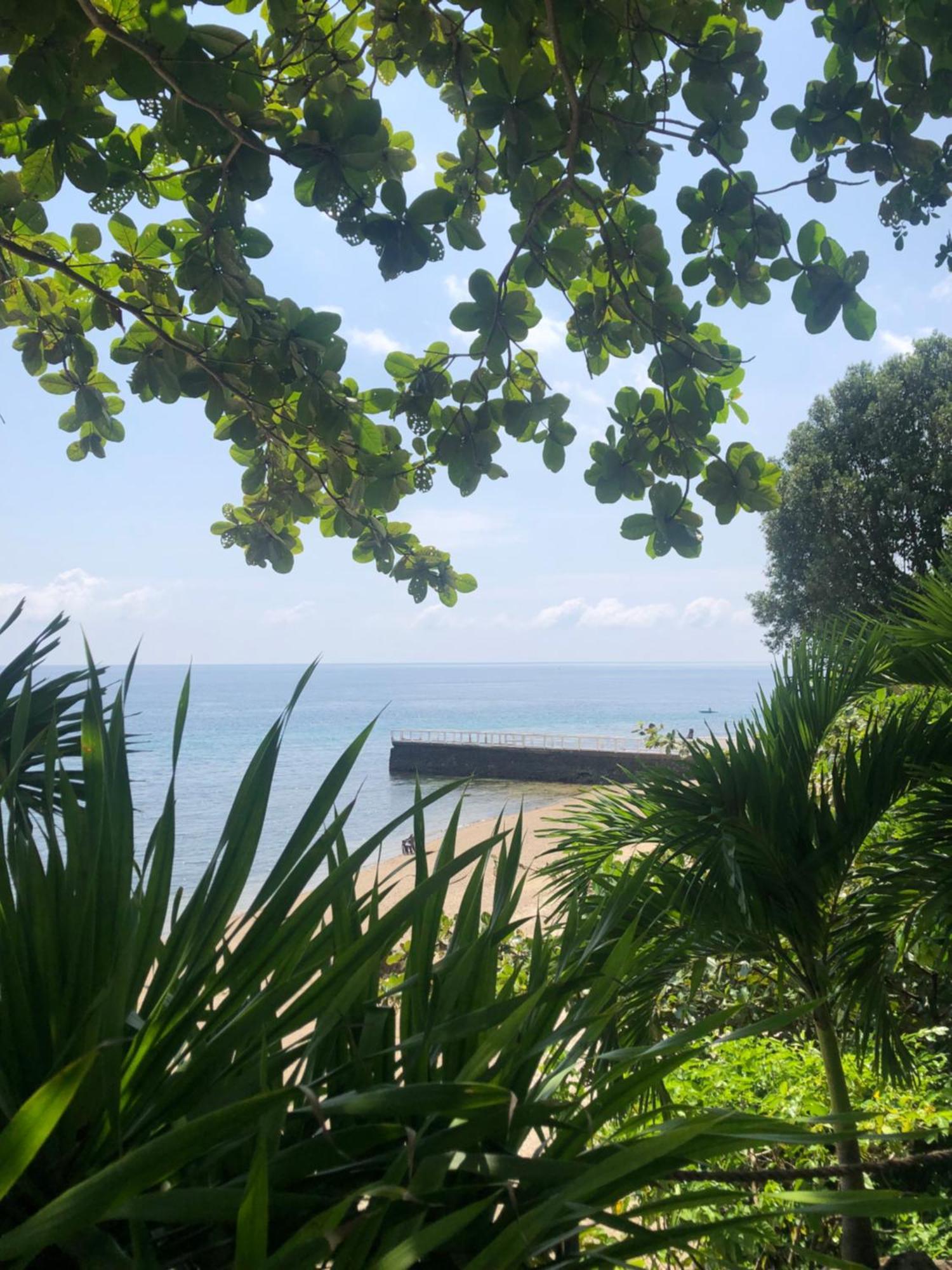 Wuthering Heights Bed & Breakfast By The Sea Dumaguete City Ngoại thất bức ảnh