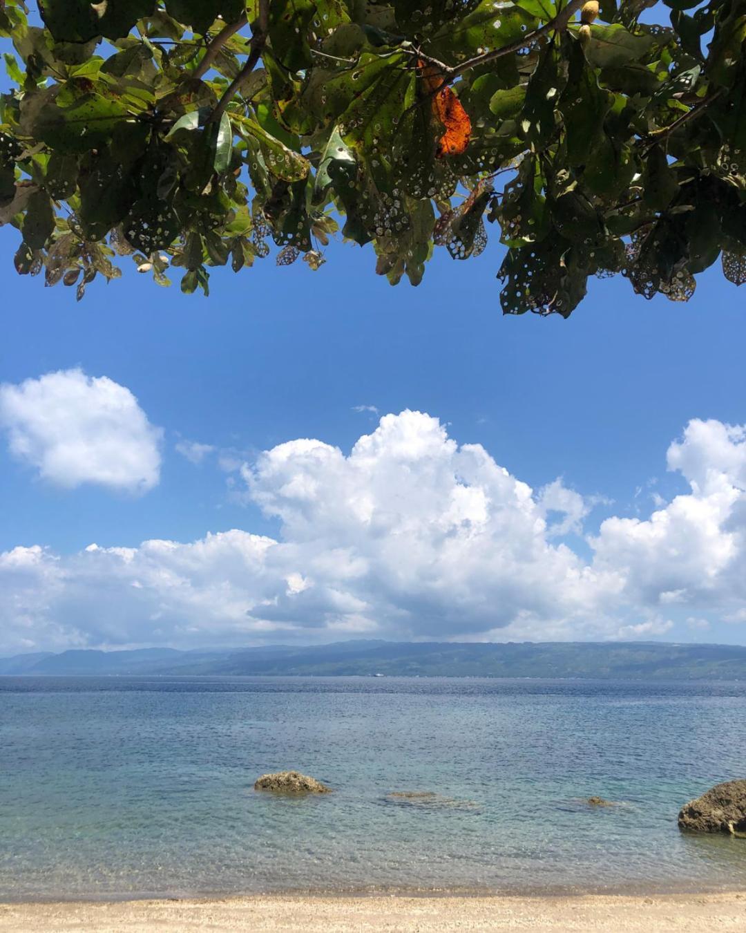 Wuthering Heights Bed & Breakfast By The Sea Dumaguete City Ngoại thất bức ảnh